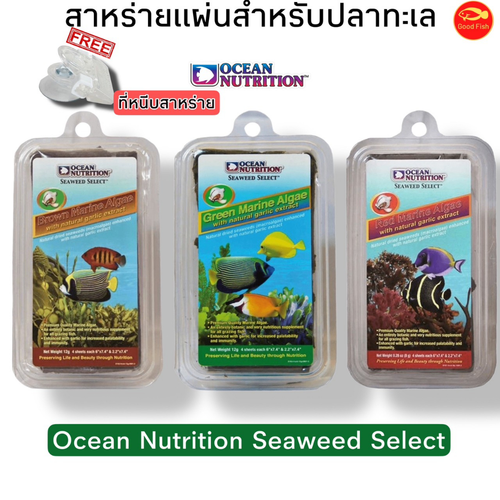 Ocean Nutrition Seaweed  อาหารปลาทะเล สาหร่ายแผ่น เหมาะสำหรับปลาที่มีปลายปากนุ่ม และกินพืชเป็นอาหาร