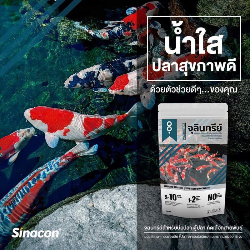 🐟 จุลินทรีย์น้ำใสบ่อปลา ตู้ปลา  REFRESH PRO ปรับปรุงคุณภาพน้ำ & ดูแลสุขภาพปลา  250 กรัม แท้ 💯 - รูปที่ 2