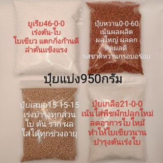 950กรัม ปุ๋ยบำรุงผัก ปุ๋ยบำรุงต้นไม้ ปุ๋ย15-15-15 ปุ๋ยยูเรีย46-0-0 ปุ๋ยหวาน0-0-60 ปุ๋ยเกลือ21-0-0 ปุ๋ยแบ่งขาย