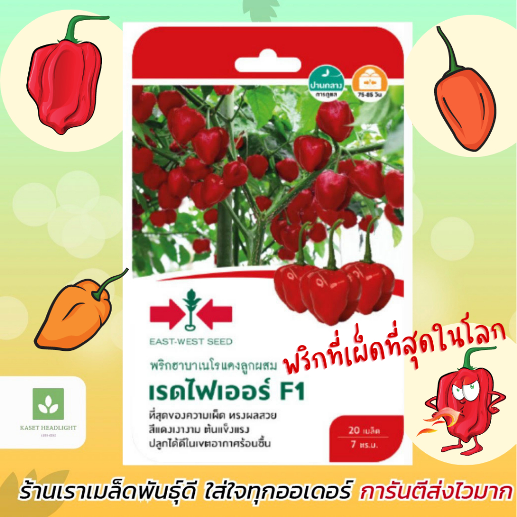 พริกฮาบาเนโร เรดไฟเออร์ F1 สีแดง เมล็ดพันธุ์พริก (habanero) 20เมล็ด/ซอง พริกที่เผ็ดที่สุดในโลก ฮาบาเนโร่ พริกปีศาจ – โปรปัง