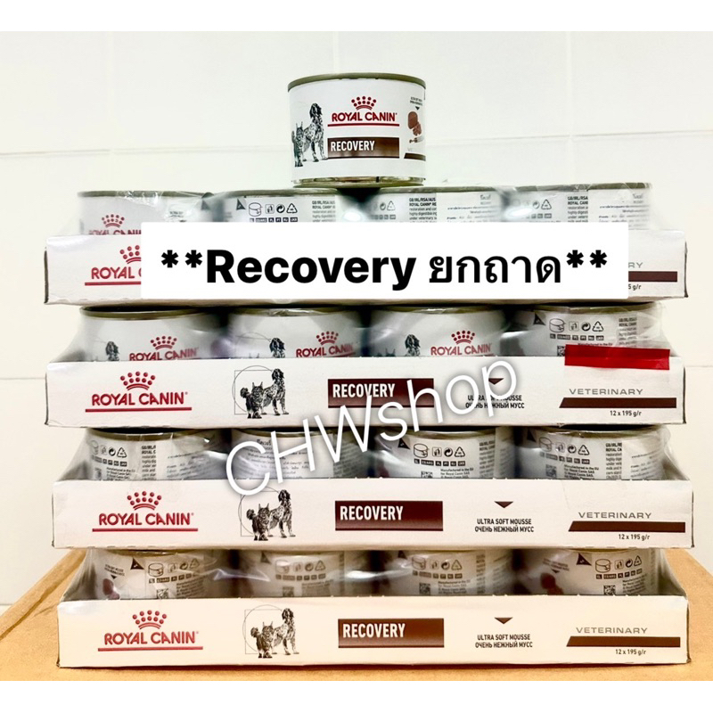 *ยกถาด 12 กระป๋อง* Royal Canin Recovery อาหารพักฟื้น สัตว์ป่วย