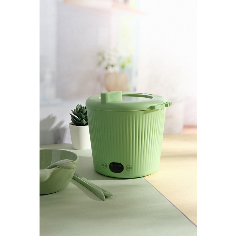 mini multifunction electric cooker