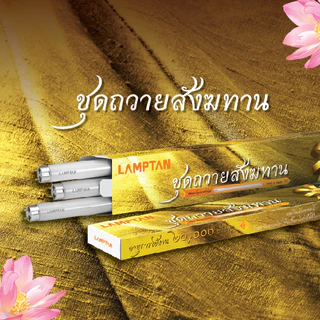 LAMPTAN ชุดหลอดไฟฟลูออเรสเซนต์ถวายสังฆทานจัดชุด
