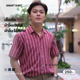 smart shirt | เสื้อเชิ้ตรุ่นไหมอิตาลี (รวมลายริ้ว)