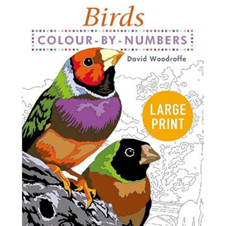 พิมพ์สีขนาดใหญ่ตามตัวเลขนก: อ่านง่าย Large Print Colour by Numbers Birds: Easy-to-Read