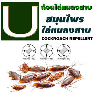 ก้อนไล่แมลงสาบ U 1 ซอง มี 4 ก้อน ปลอดภัยจากสารเคมี สมุนไพรธรรมชาติ