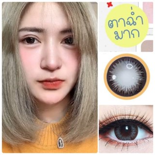 คอนแทคเลนส์ รุ่น Trendy สีเทา/Gray สีตาล/Brown มีค่าสายตา (0.00)-(-10.00)
