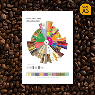 โปสเตอร์ กาแฟ Coffee Tasters Flavor Wheel Poster ตกแต่งร้านกาแฟ แต่งร้านกาแฟ ป้ายร้านกาแฟ ของตกแต่งร้านกาแฟ (A3)