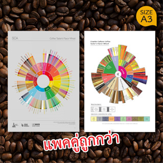 โปสเตอร์ กาแฟ แพคคู่ Coffee Tasters Flavor Wheel Poster ตกแต่งร้านกาแฟ แต่งร้านกาแฟ ป้ายร้านกาแฟ ของตกแต่งร้านกาแฟ (A3)