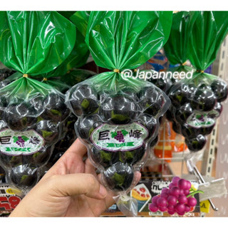 🍇 [สินค้าจากญี่ปุ่น] เยลลี่ องุ่นเคียวโฮ Kyoho Jelly แพคใหญ่ บรรจุ 11 ลูก