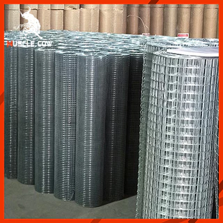 MUSCLE COW Welded wire mesh ลวดตาข่ายสี่เหลี่ยมชุบกัลวาไนซ์ ตะแกรงกรงไก่นก ตาข่ายลวดเอนกประสงค์ปูพื้นผนัง สูง90cm