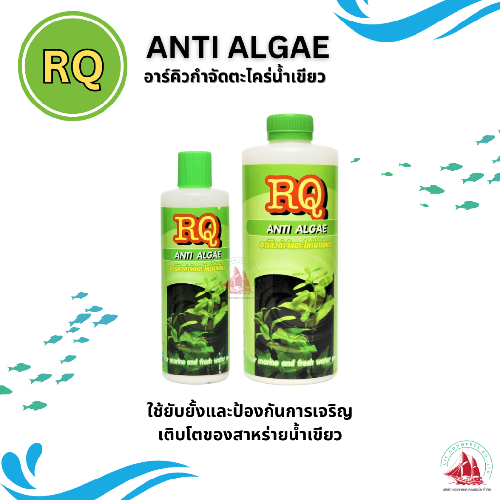 RQ ANTI ALGAE (อาร์คิว กำจัดตะไคร่น้ำเขียว) 200ml. และ 500ml.