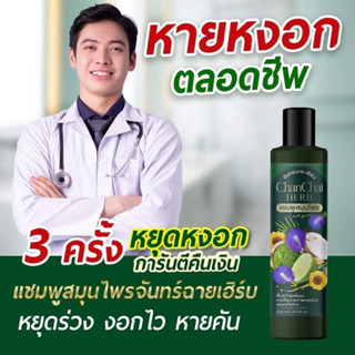 แชมพูจันทร์ฉาย เฮิร์บ Chan Chai Herb สมุนไพร 8 ชนิดเข้มข้นของแท้100%จากบริษัท  หยุดร่วง หยุดหงอก เร่งกระตุ้นการเกิดใหม่