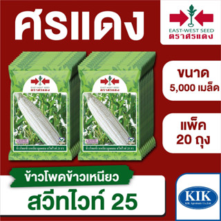 ขายส่ง เมล็ดพันธุ์ ศรแดง BIG ข้าวโพดข้าวเหนียว สวีทไวท์25 ขนาด 5,000 เมล็ด (บรรจุ ขนาด 5,000 เมล็ด x 20 ถุง)