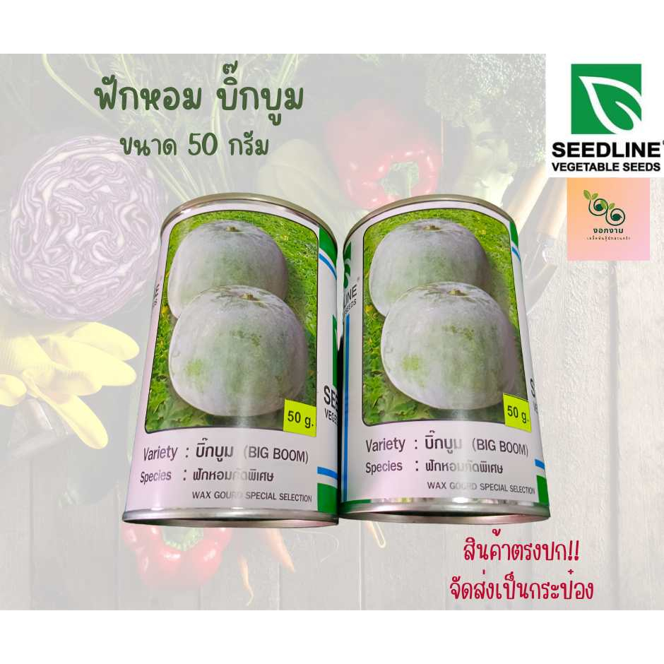 ฟักหอมบิ๊กบูม ขนาด 50 กรัม Seedline