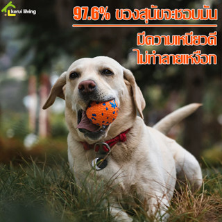 ของเล่นสุนัข ลูกบอลสุนัข ลูกบอลกัด บอลฝึกสุนัข ของเล่นสัตว์เลี้ยง Dog Training Ball บอลยาง ของเล่นกัด บอลหมา มี 2 ขนาด