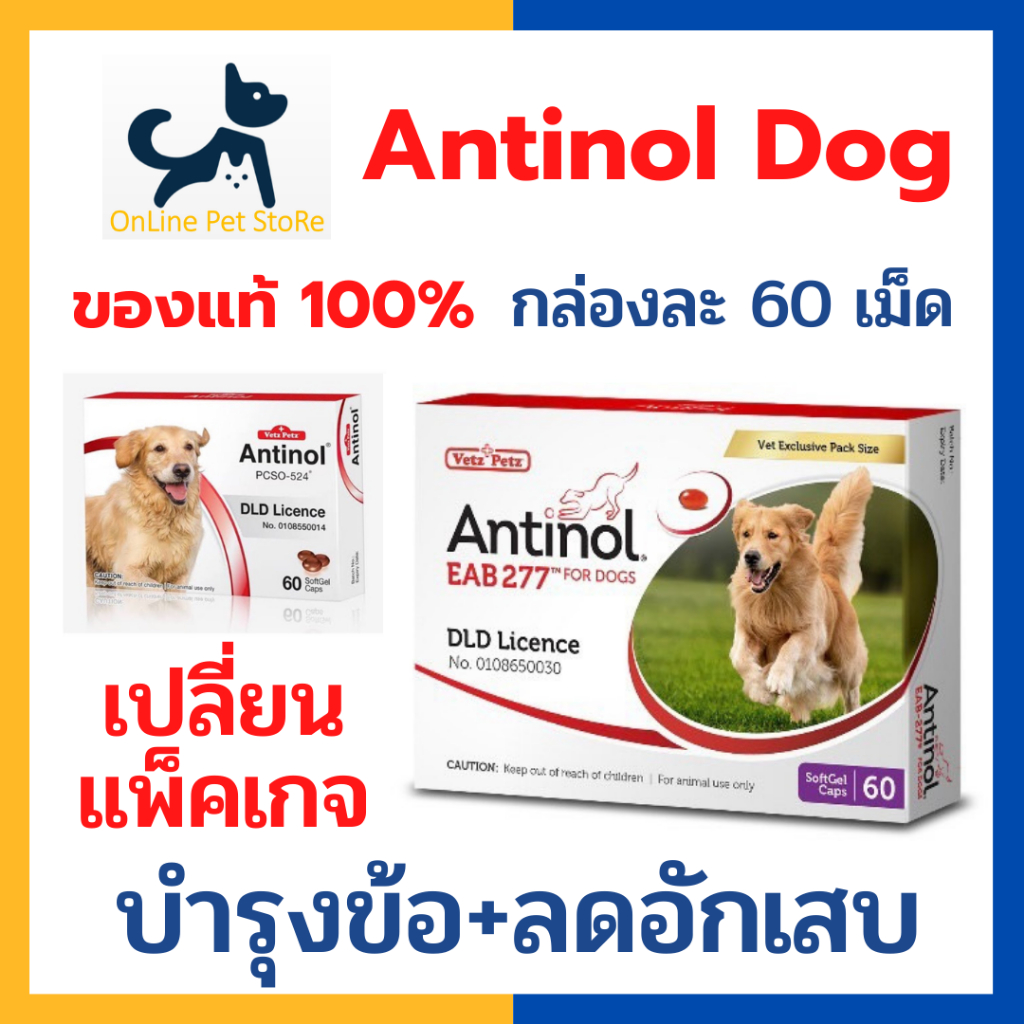 Antinol DOG 60 แคปซูล แพ็คเกจใหม่ อาหารเสริมบำรุงข้อ ข้ออักเสบ 1 กล่องบรรจุ 60 เม็ด