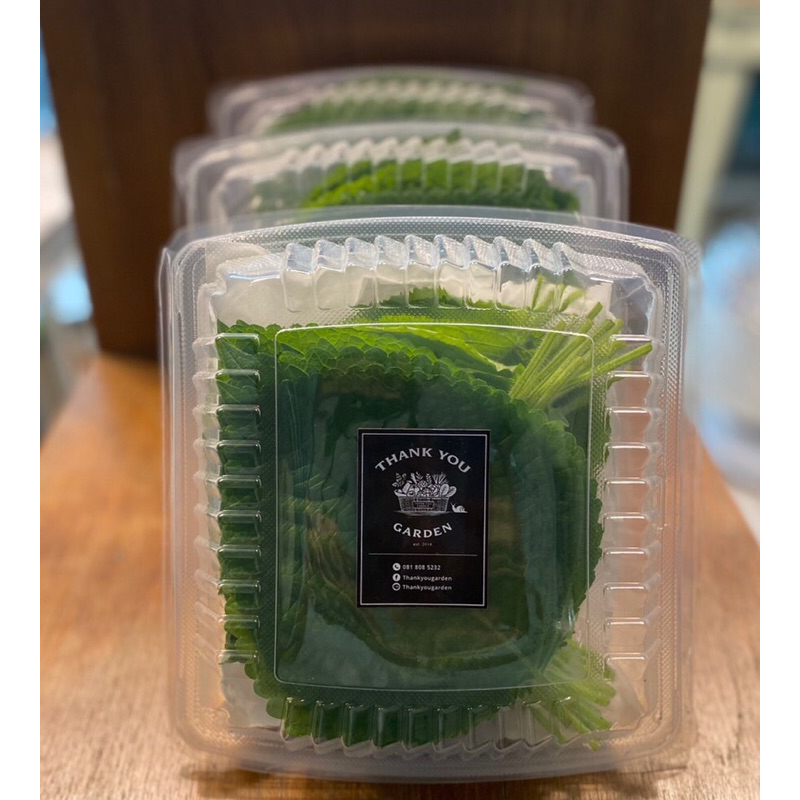 ใบงาเกาหลี  กล่องละ50ใบ เก็บสด  ปลอดสารพิษ กิมจิ หมูเกาหลี🌱50 Korean Perilla Leaves ggaennip  kkaennip Beefsteak plant