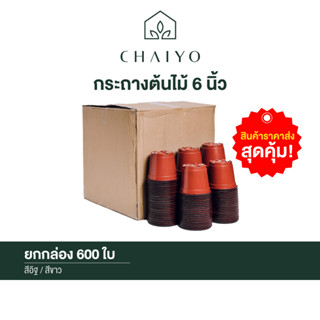 กระถางต้นไม้ 6 นิ้ว ยกกล่อง 600 ใบ  POT 150 mm (6 inches)  600 pcs/box