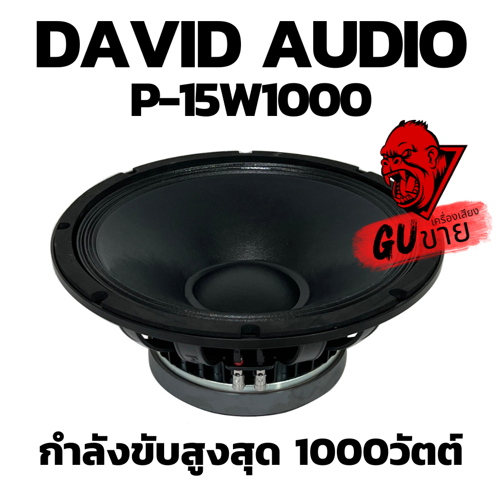 ดอกลำโพงพีเอ 15นิ้ว อะไหล่ดอกลำโพง PA ยี่ห้อ DV DAVID AUDIO รุ่น P-15W1000 กำลังขับ 1000วัตต์ ความต้