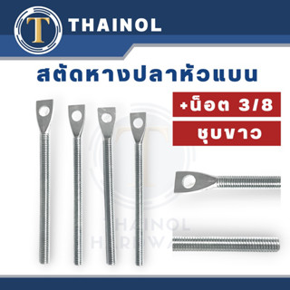 สตัสหางปลาหัวแบน + น็อต ขนาด 3/8" ชุบขาว