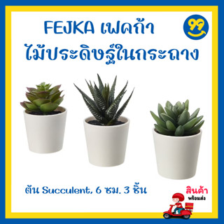 ✅ IKEA อิเกีย - FEJKA เฟคก้า ไม้ประดิษฐ์ในกระถาง+กระถาง ใน/นอกอาคาร ต้น Succulent 6 ซม. 3 ชิ้น