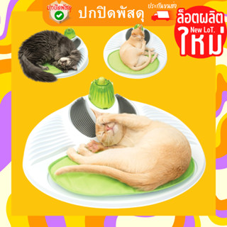 2.0 Catit wellness center ที่นอน ที่ขัดฟัน ที่เกาคาง ของเล่นแมว หมา สุนัข cat toy