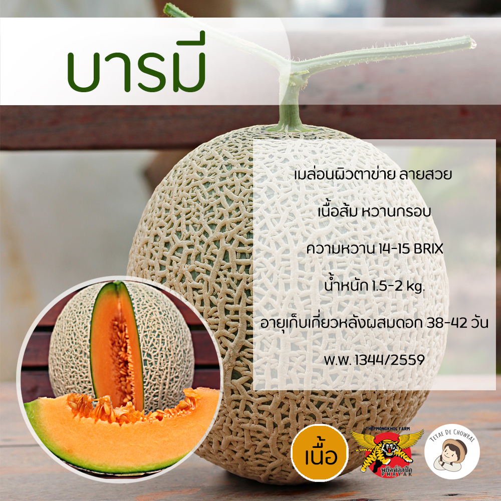 เมล็ดเมล่อนพันธุ์บารมี 100 เมล็ด ตราพยัคฆ์ติดปีก เทพมงคลเมล็ดพันธุ์