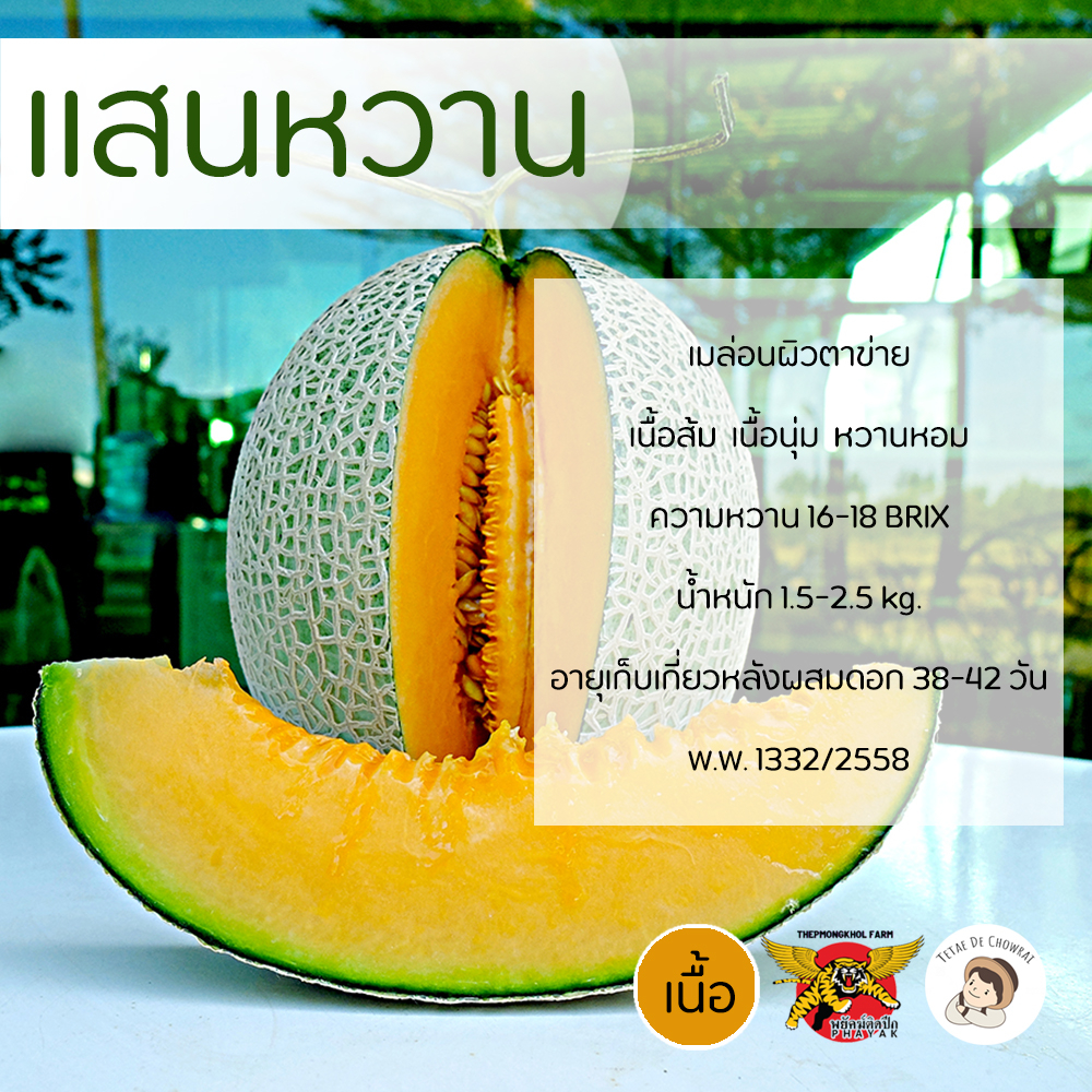 เมล็ดเมล่อนพันธุ์แสนหวาน 100 เมล็ด ตราพยัคฆ์ติดปีก เทพมงคลเมล็ดพันธุ์