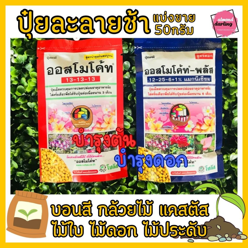 5แถม1 ปุ๋ย ออสโมโค้ท ปุ๋ยละลายช้า แบ่งขาย ขนาดพอดี ราคาถูก (สูตรบำรุงต้น สูตรเร่งดอก ปุ๋ยแคคตัส)