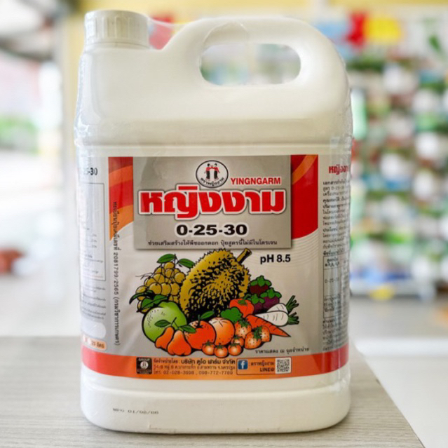 ปุ๋ยน้ำ 0-25-30 ตราหญิงงาม 5 ลิตร pH 8.5 สะสมอาหารก่อนออกดอก เพิ่มแป้งและน้ำตาล ผลดก ขยายขนาดผล