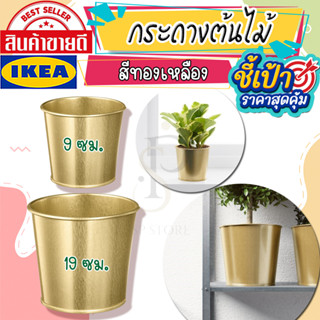 🔥[พร้อมส่ง]🔥 IKEA LOVEMYHOME : DAIDAI ไดได กระถางต้นไม้, สีทองเหลือง, 9 ซม.,19 ซม.