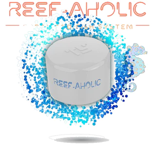 Reef-Aholic TY ฝาครอบ U PVC สำหรับปิดปลายท่อน้ำ 20-50 มม มาตรฐาน DIN มีสีขาวและเทา เอาตามสะดวก Cap