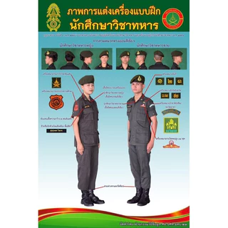 ปีกโดดร่ม รด. เครื่องหมายโดดร่ม นทศ. แบบเย็บติดเสื้อ