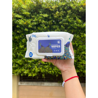 ทิชชู่เปียก สำหรับแม่และเด็ก 🦚KUL Baby Wipes ผ้าเปียก น้องนกยูง food grade อ่อนโยนต่อผิวอันบอบบางของทารก (ไม่มีกลิ่น)