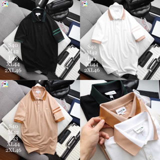 เสื้อโปโลคอปก Lac❂ste Basic ผ้า Cotton 💯 | เสื้อคอปกผู้ชาย | เสื้อโปโล 👕 พร้อมส่ง 3 สี