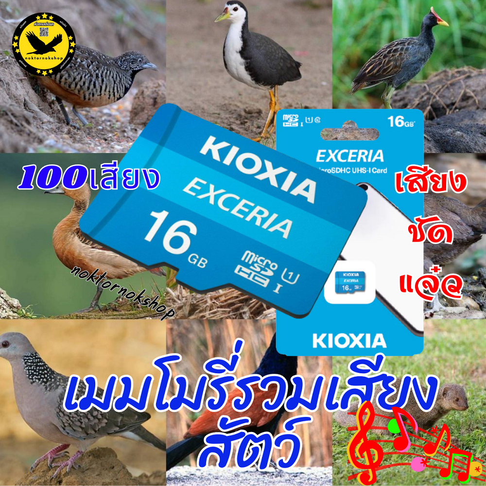 เมมรวมเสียงสัตว์ 100เสียง เมมเรียกสัตว์ เสียงยาวต่อเนื่อง ชัดใส ไม่สะดุด ไร้เสียงรบกวน ได้ผล100%