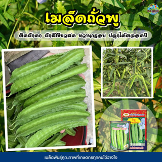 เมล็ดถั่วพู Winged Bean ตราภูเขาทอง ขนาด100กรัม เมล็ดพันธุ์ถั่วพู ถั่วพู เมล็ดผักสวนครัว เมล็ดพันธุ์ผัก