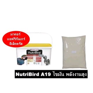 Nutribird A19 อาหารลูกป้อน แบ่งจำหน่าย 100 - 500 กรัม