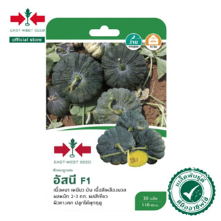 ศรแดง เมล็ดพันธุ์ฟักทอง F1 อัสนี (เมล็ดเคลือบ) (East-West Se…