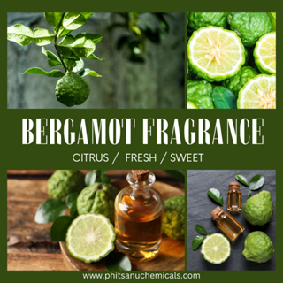 Bergamot fragrance 25 g : น้ำหอมกลิ่นมะกรูด 25 กรัม // น้ำหอมเครื่องสำอาง