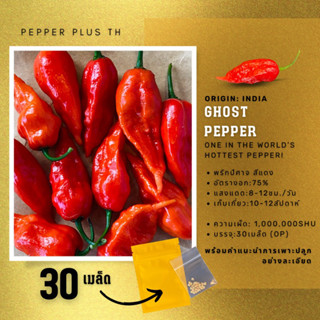 🔥เมล็ดพันธุ์พริกปีศาจ 30เมล็ด 1M SHU Ghost pepper (Bhut jolokia pepper)