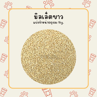 อาหารนก นกหงส์หยก มิลเล็ตขาว มิลเล็ตนกหงส์หยก 1kg.