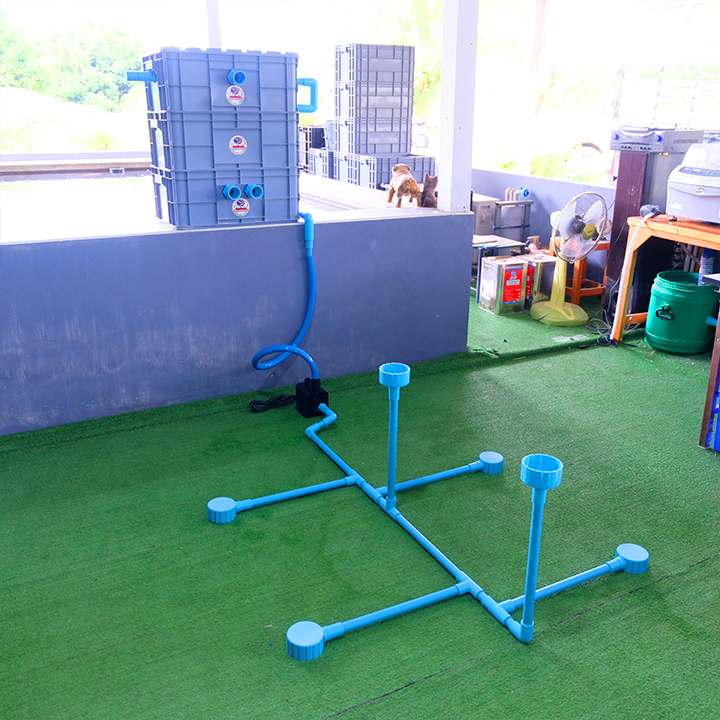 ชุดกรองคอนโด162ลิตรสำหรับบ่อปลา1-4ตันสีเทาแบรนด์นายตัวเองระบบเข้าบนออกล่าง3ขั้นตอน - รูปที่ 4