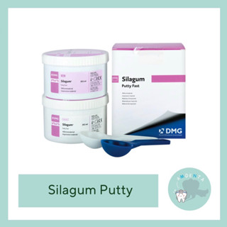 DMG Silagum Putty ของแท้ ฉลากไทย