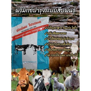 ซีลิเนี่ยมโปรมิกซ์ ช่วยระบบสืบพันธุ์ ช่วยเป็นสัด บำรุงและเสริมสร้างการเจริญเติบโต วัว โค กระบือ