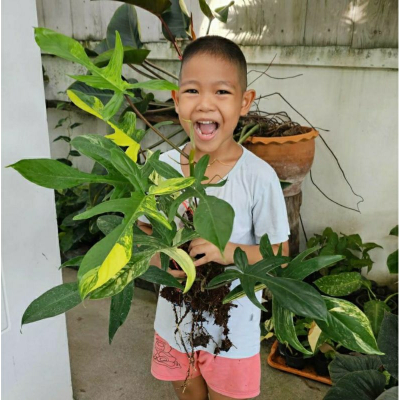 Thumbnail 3