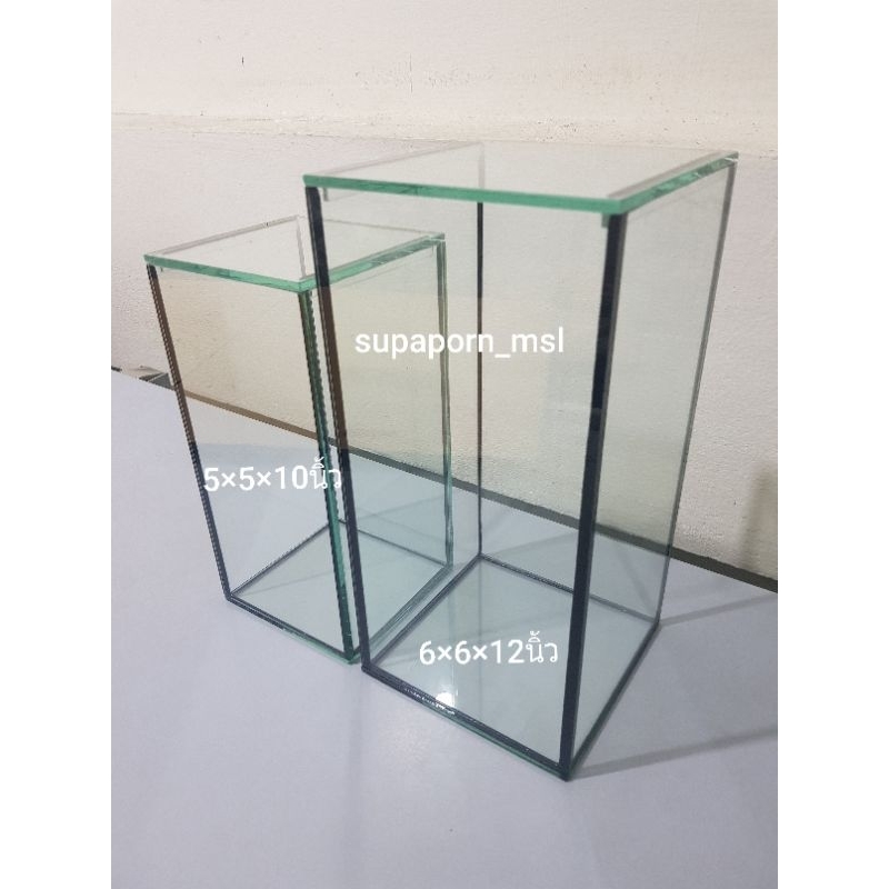 [พร้อมส่ง ] โหลปลากัด ซิลิโคนดำ ขนาด5×5×10นิ้ว /6×6×12นิ้ว พร้อมฝาปิดสนิท กระจก5mm