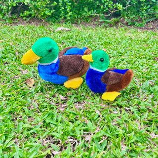 [ขายคู่] ตุ๊กตาเป็ด เป็ดแมลลาร์ด ตุ๊กตาเป็ด แมลลาร์ด  Mallard duck เป็ดมาลลาร์ด เป็ดหัวเขียว