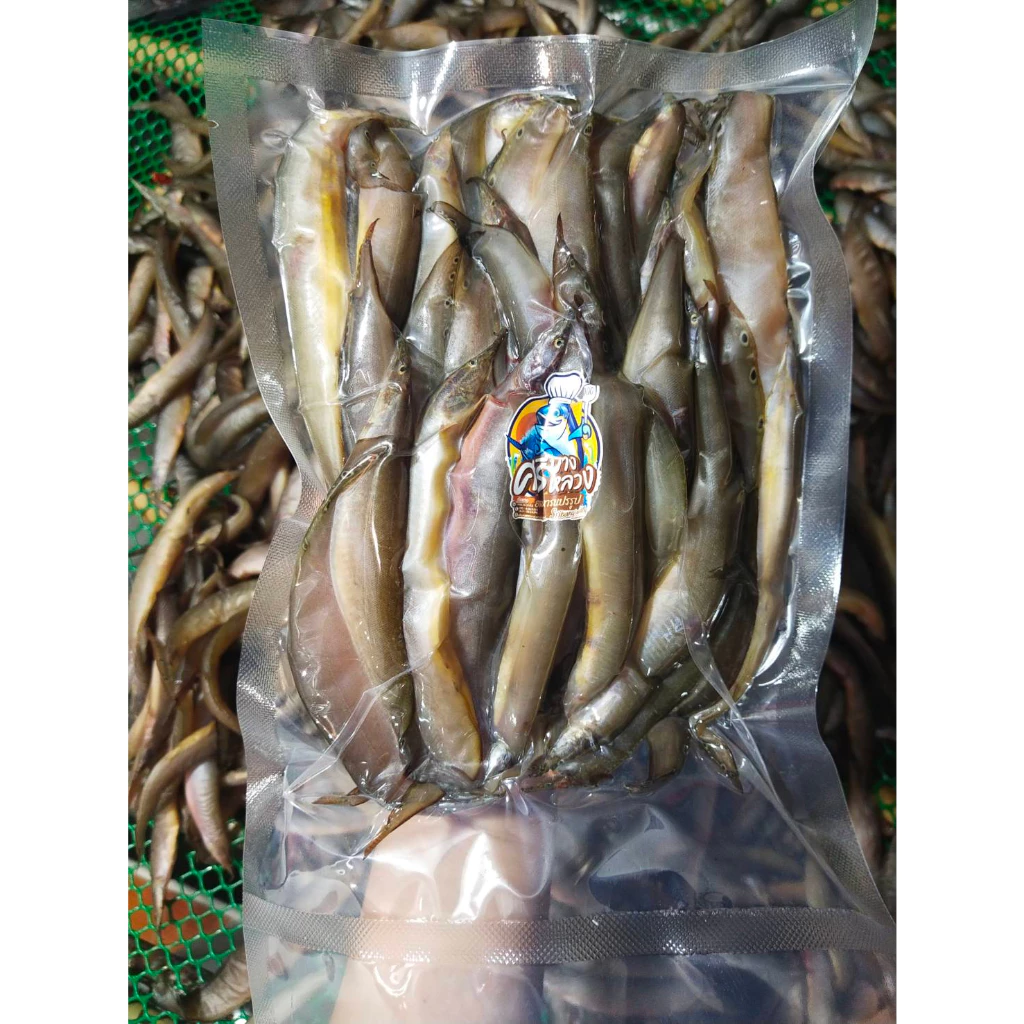 ปลาหลดแดดเดียว คละไซส์300กรัม